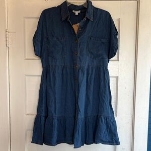 Blu Pepper Blue Denim Shirt Dress